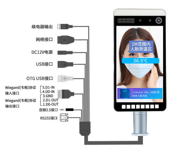 真地闸机式人脸识别测温一体机CWT1如何安装？