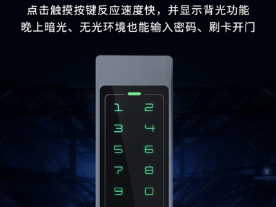 真地刷卡密码门禁机X1
