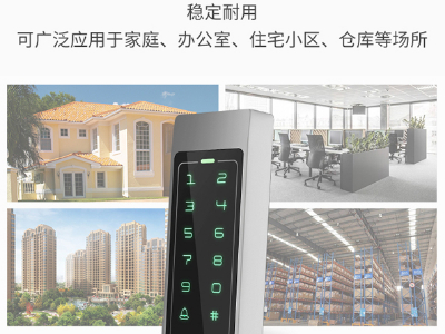 真地刷卡密码门禁机X1